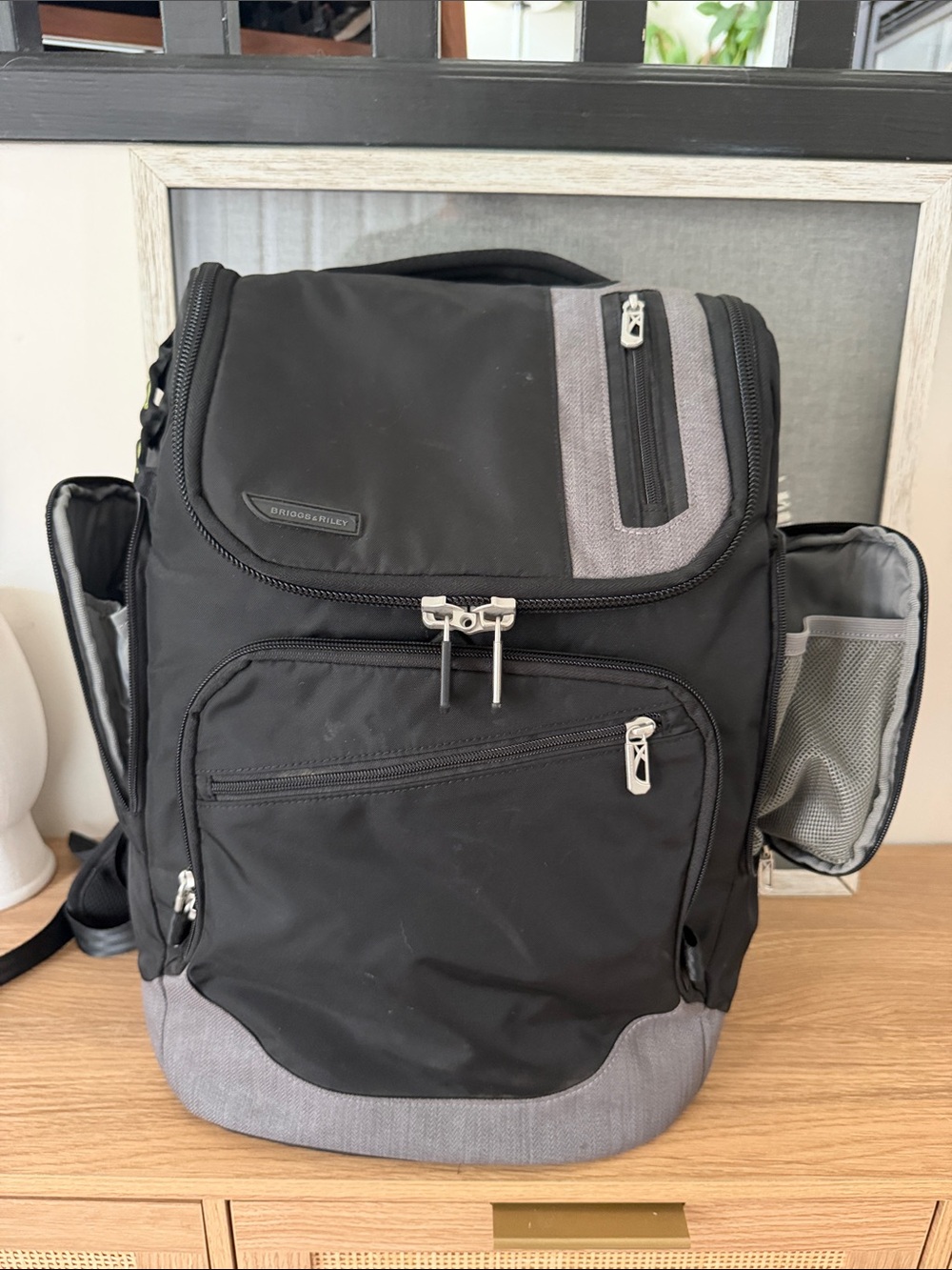 Briggs & Riley BRX Excursion Backpack - Picture 7 of 10